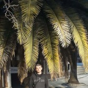  ,   , 43 ,  