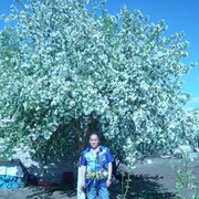  ,   , 61 ,   ,   , c 