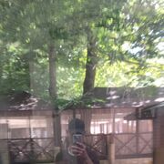 ���������� ���������, ���� ����� ������, 20 ���, ������������ ��� ������, ����� � ���������