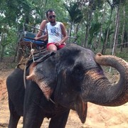 ���������� ������, ���� ������� ������, 44 ����, ������������ ��� ������, ����� � ���������, c�������� ���������