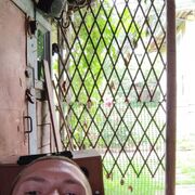 ���������� �����-���������, ���� ������� ��������, 35 ���, ������������ ��� ������, ����� � ���������, ���������