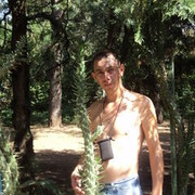 ,   , 41 ,   