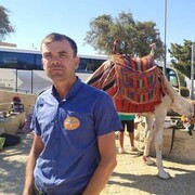  Or Yehuda,  mihaela, 42