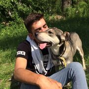 ���������� ������, ���� ������� �������, 28 ���, ������������ ��� ������, ����� � ���������