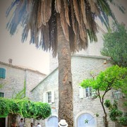 ���������� �������, ���� ������� ���������, 37 ���, ������������ ��� ������, ����� � ���������, c�������� ���������