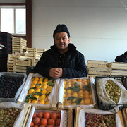 �������� �������� ����