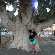 ���������� ������ ���, ���� ������� ��������, 43 ����, ������������ ��� ������