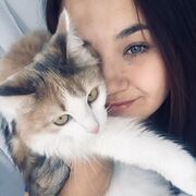 ���������� ������������, ������