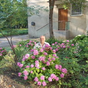 ���������� ������, ���� ������� ����, 65 ���, ������������ ��� ������, ���������