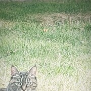  ,   , 36 ,   ,   , c , 