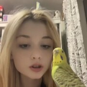 ���������� �����-���������, ���� ������� ����, 21 ���, ������������ ��� ������, ����� � ���������