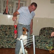  ,   , 49 ,   