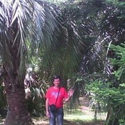  ,   BALAGUR, 59 ,     , c 