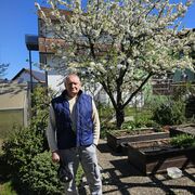  Pirmasens,   , 64 ,   ,   , c , 