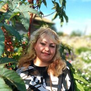  ,   , 54 ,   , 