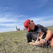 ���������� ������������, ���� ������� ���������, 32 ����, ������������ ��� ������, ����� � ���������, c�������� ���������, ���������