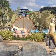 ���������� �����, ���� ������� ������, 27 ���, ������������ ��� ������, ����� � ���������, c�������� ���������