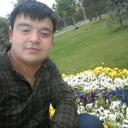 ���������� �������, ������� �����, 29