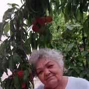 ���������� ������, ���� ������� ������, 78 ���, ������������ ��� ������, ����� � ���������, c�������� ���������