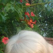  ,   , 56 ,   c 
