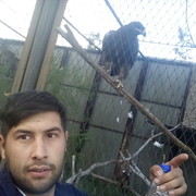  ,   , 30 ,     , c 