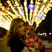 ���������� ���������, ���� ������� ��������, 21 ���, ������������ ��� ����� � ���������