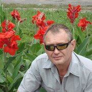   ,   , 63 ,   ,   