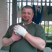   ,   , 49 ,   