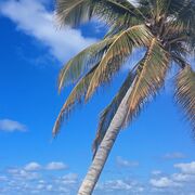 ���������� ���������, ���� ������� �����, 46 ���, ������������ ��� ����� � ���������, c�������� ���������