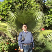 ���������� ���������, ���� ������� ������, 47 ���, ������������ ��� ������, ����� � ���������, c�������� ���������