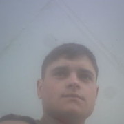 ���������� �������, ���� ������� Niku, 36 ���, ������������ ��� ������, ����� � ���������, c�������� ���������