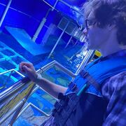 ���������� �������, ������ ������, 18