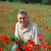 ���������� ������, ���� ������� ����, 72 ����, ������������ 