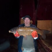 ���������� �������, ���� ������� �������, 50 ���, ������������ ��� ������, ���������