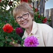 ���������� ������������, ���� ������� ����, 68 ���, ������������ ��� ������, ����� � ���������