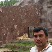 ���������� ����, ���� ������� Ilham, 45 ���, ������������ 