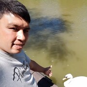 ���������� ������������, ���� ������� �������, 36 ���, ������������ ��� ������, ����� � ���������