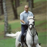 ���������� ������, ���� ������� Timur, 36 ���, ������������ ��� ����� � ���������, c�������� ���������