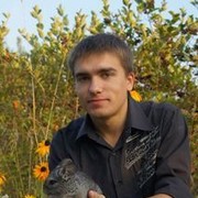 ���������� ����, ���� ������� ���������, 38 ���, ������������ ��� ������, ����� � ���������, c�������� ���������