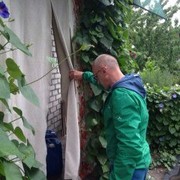  ,   , 53 ,   ,   , c 