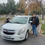 ���������� ������, ���� ������� Oybek, 40 ���, ������������ ��� ������, ����� � ���������