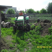 ���������� ����, ���� ������� �������, 38 ���, ������������ ��� ������, ����� � ���������, c�������� ���������