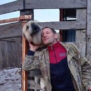 ���������� ������, ���� ������� �������, 47 ���, ������������ ��� ������, ����� � ���������, c�������� ���������