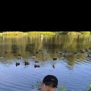 ���������� ����, ���� ������� ����, 36 ���, ������������ ��� ������, ����� � ���������, c�������� ���������, ���������