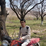  ,   Alisher, 38 ,   ,   , c 