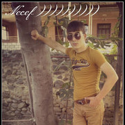  ,   Necef, 33 ,   ,   , c 