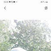 ���������� ������, ���� ������� ��������, 56 ���, ������������ ��� ������, ����� � ���������, c�������� ���������