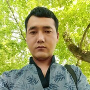  ,   , 33 ,   ,   