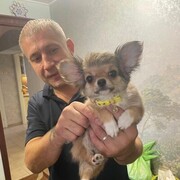  ,   , 40 ,   ,   