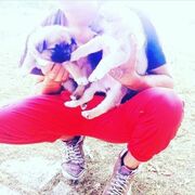  ,   MaKcIk, 28 ,   ,   